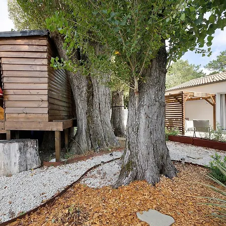 Maison Entre Monts & * Notre-Dame-de-Monts